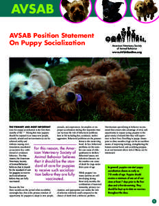 AVSAB Position Statement On Puppy Socialization American Veterinary Society of Animal Behavior www.AVSABonline.org