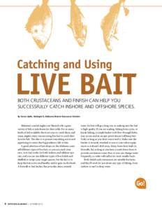 Both crustaceans and finfish can help you successfully catch inshore and offshore species. By Karon Aplin, Biologist II, Alabama Marine Resources Division Alabama’s coastal anglers are blessed with a great variety of f