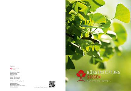 Ginkgo biloba tree branch with leafs against  green background