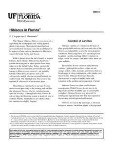 ENH44  Hibiscus in Florida1 D. L. Ingram and L. Rabinowitz2 The Chinese hibiscus, Hibiscus rosa-sinensis L., is probably the most popular and widely planted
