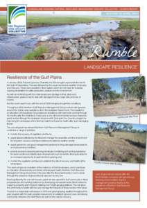 Queensland Regional Natural Resource Management Groups’ Collective – Chair’s Report  EDITION 13 APRIL 2011 Rumble