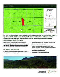 Mogollon Rim / Tonto National Forest / Riparian zone / Maricopa County /  Arizona / Cave Creek /  Arizona / Geography of Arizona / Arizona / Water