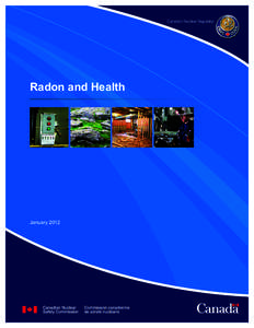 Radioactivity / Radon / Soil contamination / Chemical elements / Building biology / Health effects of radon / Radium and radon in the environment / Uranium mining / Background radiation / Chemistry / Physics / Matter