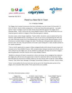 November 28, 2012  There’s a New Kid in Town For Immediate Release The Calgary Zoo is excited to announce that there is literally a new kid in town. On November 14, 2012, Air North, Yukon’s Airline transported a 115-