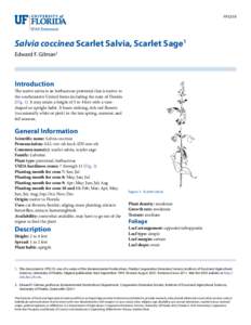FPS519  Salvia coccinea Scarlet Salvia, Scarlet Sage1 Edward F. Gilman2  Introduction