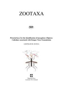 Zootaxa, Diptera, key to Culicidae (mosquitoes)