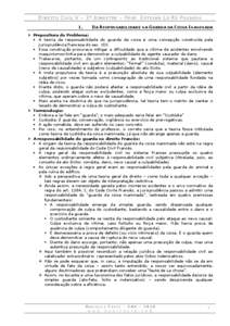 DIREITO CIVIL V – 3° BIMESTRE – PROF. ESTEVAN LO RÉ POUSADA 1. DA RESPONSABILIDADE NA GUARDA DA COISA INANIMADA   Propositura do Problema: