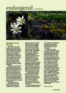 endangered  Shrublands on dry clay flats Seasonally wet clay-based wetlands are among the most