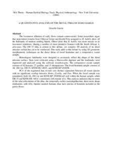 Prehistoric Africa / Pleistocene extinctions / Lower Paleolithic / Homo habilis / Lake Turkana / Koobi Fora / Olduvai Gorge / Homo / Arches of the foot / Paleontology / Extinction / Pleistocene