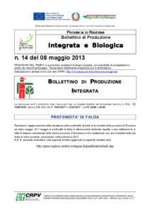 DIREZIONE GENERALE AGRICOLTURA, ECONOMIA ITTICA, ATTIVITÀ FAUNISTICO-VENATORIE  PROVINCIA DI RAVENNA Bollettino di Produzione