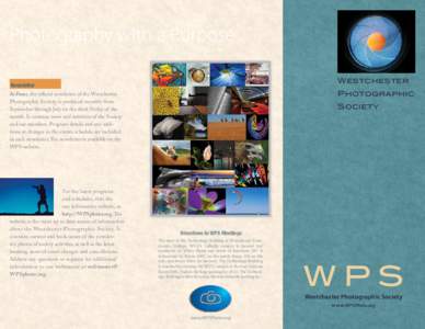 Photography with a Purpose Westchester Newsletter  Photographic
