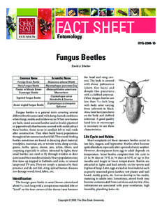 FACT SHEET Entomology HYG[removed]Fungus Beetles