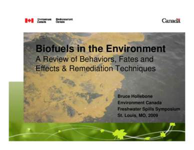 Biofuels in the Environment A Review of Behaviors, Fates and Effects & Remediation Techniques Bruce Hollebone Environment Canada