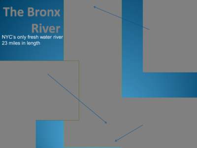 NYC’s only fresh water river 23 miles in length Founded in 2001, Bronx River Alliance is a nonprofit organization that partners with the New York City Department of Parks &