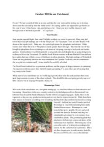 Orobanche minor / Orobanche ramosa / Kambah /  Australian Capital Territory / Tuggeranong Parkway / Tuggeranong / Orobanchaceae / Parasitic plants / Broomrape