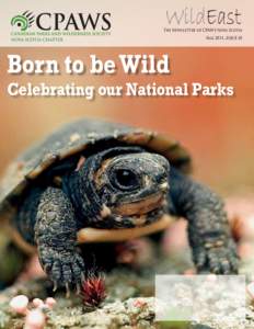 WildEast  The Newsletter of CPAWS Nova Scotia Fall[removed]ISSUE 18  Born to be Wild