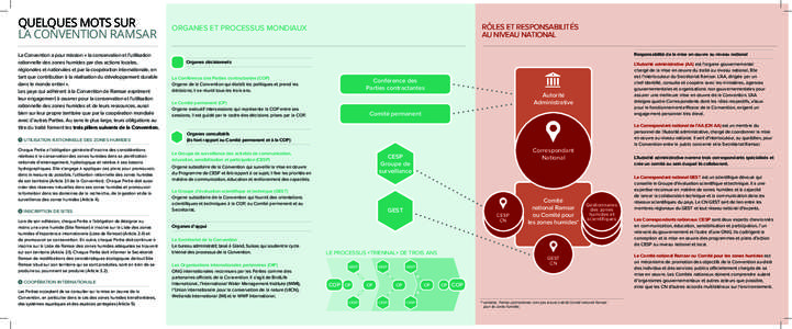 QUELQUES MOTS SUR LA CONVENTION RAMSAR La Convention a pour mission « la conservation et l’utilisation rationnelle des zones humides par des actions locales, régionales et nationales et par la coopération internati