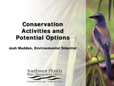 Conservation Activities and Potential Options Josh Madden, Environmental Scientist  Water Conservation