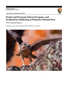 Falco / Pinnacles National Monument / Peregrine Falcon / Prairie Falcon / Falcon / Bird nest / Zoology / Biology / Falconry