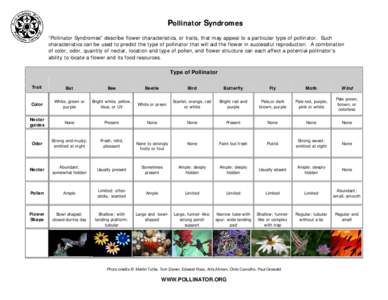 Pollinator Syndromes “Pollinator Syndromes” describe flower characteristics, or traits, that may appeal to a particular type of pollinator. Such characteristics can be used to predict the type of pollinator that will