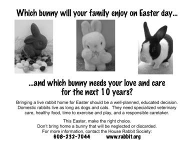 Which bunny will your family enjoy on Easter day…  …and which bunny needs your love and care for the next 10 years? Bringing a live rabbit home for Easter should be a well-planned, educated decision. Domestic rabbits