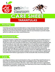 PIC care sheet Tarantulas