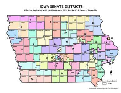 https://www.legis.iowa.gov/DO...SenateStatewide8x11_color.pdf