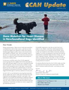 VETERINA RY M E D I C I NE Center for Companion Animal Health Fall/WinterGene Mutation for Heart Disease