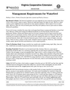 Management Requirements for Waterfowl Phillip J. Clauer, Poultry Extension Specialist, Animal and Poultry Sciences Best Breeds To Raise: The breed of waterfowl you raise depends on your reason for raising them. First, w