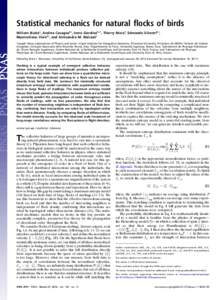 Statistical mechanics for natural flocks of birds William Bialeka, Andrea Cavagnab,c, Irene Giardinab,c,1, Thierry Morad, Edmondo Silvestrib,c, Massimiliano Vialeb,c, and Aleksandra M. Walczake a Joseph Henry Laboratorie