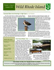 Volume 1, Issue 3 Summer 2008 Wild Rhode Island   A Quarterly Publication from the Division of Fish and Wildlife, RI Department of Environmental Management