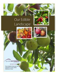 Our Edible Landscape Texas AgriLife Extension Service Galveston County Oﬃce Dickinson, Texas