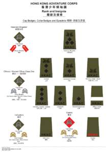 Rank and Insignia - Cap Badges, Collar Badges and Epaulette