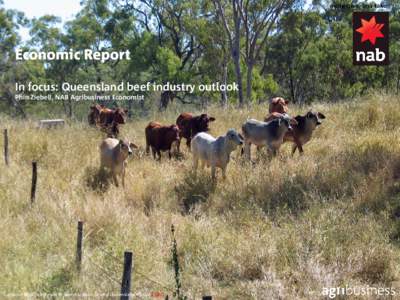 NAB In focus: Queensland beef industry outlook