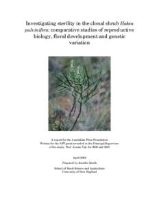 Investigating sterility in the clonal shrub Hakea pulvinifera: comparative studies of floral development, reproductive biology
