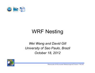 WRF Nesting Wei Wang and David Gill University of Sao Paulo, Brazil October 18, 2012  Mesoscale & Microscale Meteorological Division / NCAR