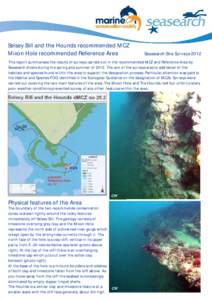 Selsey Bill and the Hounds recommended MCZ Mixon Hole recommended Reference Area Seasearch Site Surveys[removed]This report summarises the results of surveys carried out in the recommended MCZ and Reference Area by