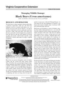 publication[removed]Managing Wildlife Damage: Black Bears (Ursus americanus) Author: Jim Parkhurst, Extension Specialist, Forestry and Wildlife