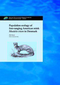 Population ecology of free-ranging American mink Mustela vison in Denmark