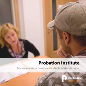 Probation Institute Promoting excellence throughout the offender rehabilitation sector The Probation Institute: A Centre of Excellence  The Probation Institute is an independent not-for-profit organisation, aiming to be