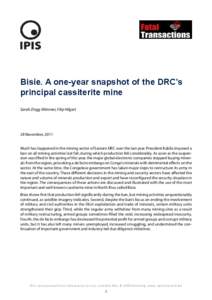Bisie. A one-year snapshot of the DRC’s principal cassiterite mine Sarah Zingg Wimmer, Filip Hilgert 28 November, 2011 Much has happened in the mining sector of Eastern DRC over the last year. President Kabila imposed 