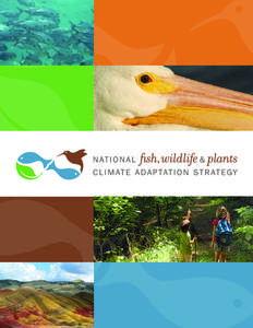 National Fish, Wildlife and Plants Climate Adaptation Strategy Recommended citation National Fish, Wildlife and Plants Climate Adaptation Partnership.