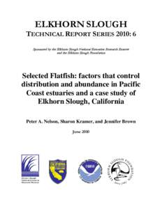 Elkhorn Slough / Halibut / Speckled sanddab / California halibut / Coastal fish / National Estuarine Research Reserve / English sole / Flatfish / Flounder / Fish / Paralichthyidae / Pleuronectidae