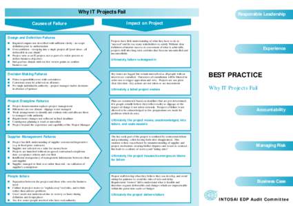 INTOSAI EDP Committee Guide - Why IT Projects Fail