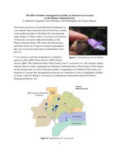 The effect of timber management activities on Penstemon personatus on the Plumas National Forest by Michelle Coppoletta, Kyle Merriam, Colin Dillingham, and Linnea Hanson Penstemon personatus (closed-throated beardtongue