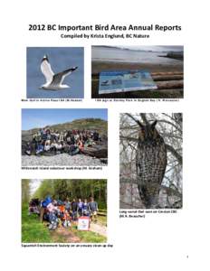 Ecoregions / Important Bird Area / Arnhem Land / Conservation / Ornithology / Bird conservation / BirdLife International