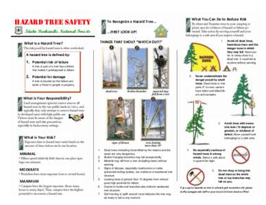 HAZARD Tree Safety Idaho Panhandle National Forests What is a Hazard Tree? What You Can Do to Reduce Risk