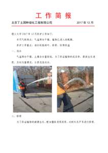 工 作 简 报 北京丁土园林绿化工程有限公司 2017 年 12 月  理工大学 2017 年 12 月养护工作如下：