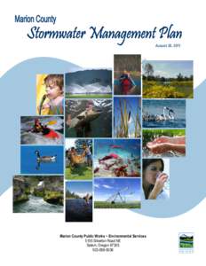 Water / Stormwater / Surface runoff / Clean Water Act / Storm drain / Low-impact development / IDEAL model / Best management practice for water pollution / Environment / Water pollution / Earth