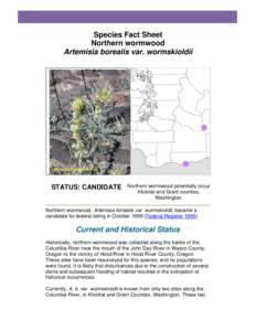 Species Fact Sheet Northern wormwood Artemisia borealis var. wormskioldii Photo Credit: Melissa Carr